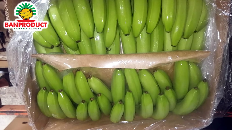 Caja con banano lista